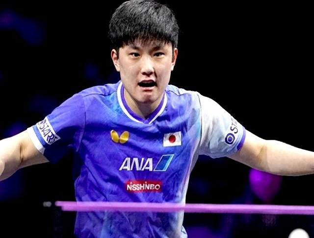 中国队力克瑞典队，张本智和点燃赛场的简单介绍