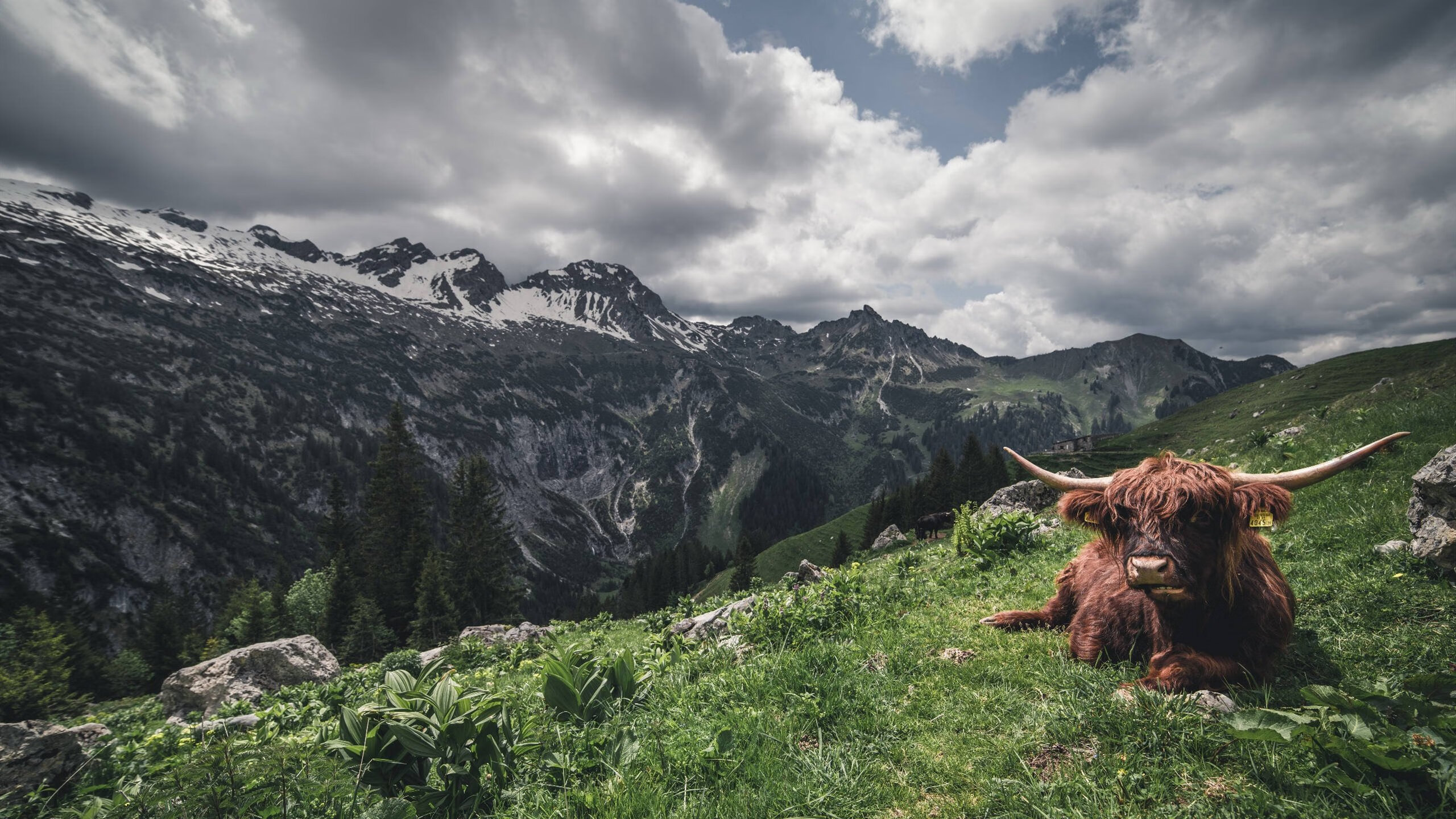 冰与火，佩佩以传奇告别，点燃里斯本不眠夜