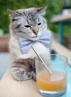 静水流深，利物浦的精密机械如何湮没迪马利亚的逆焰