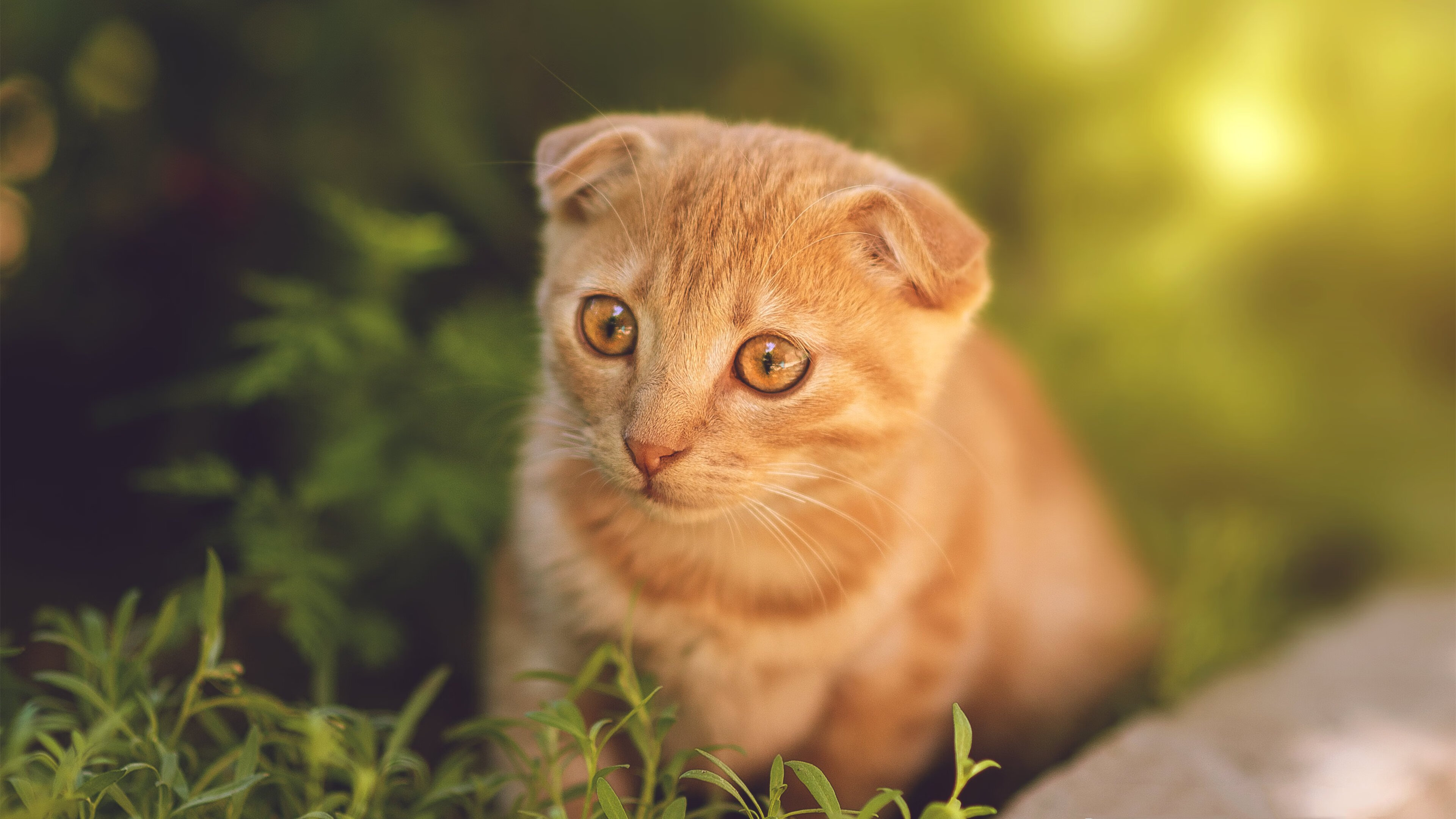 郑思维带队惊天逆转！马来西亚队翻盘中国震惊世界羽坛
