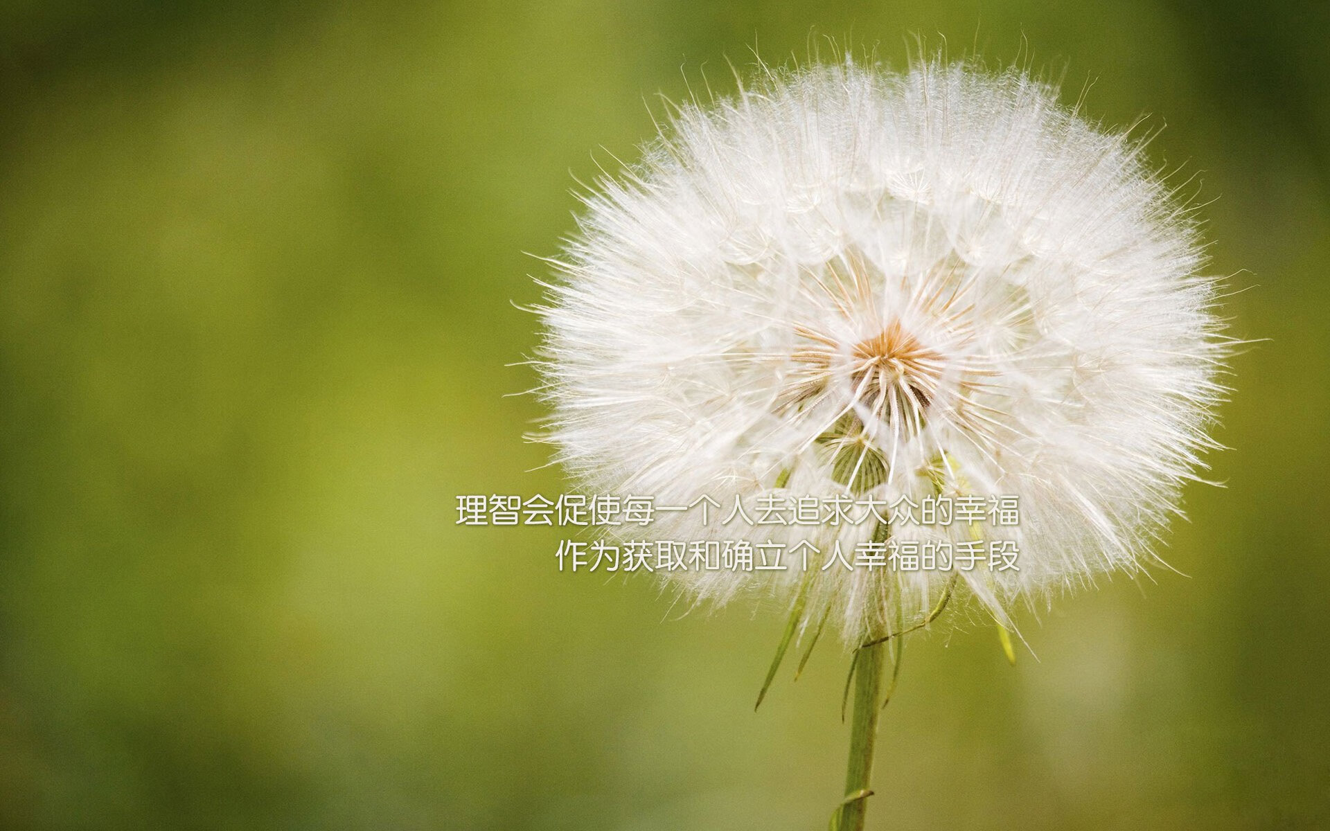 极速狂飙与得分狂潮,当F1揭幕战遭遇湖人大捷