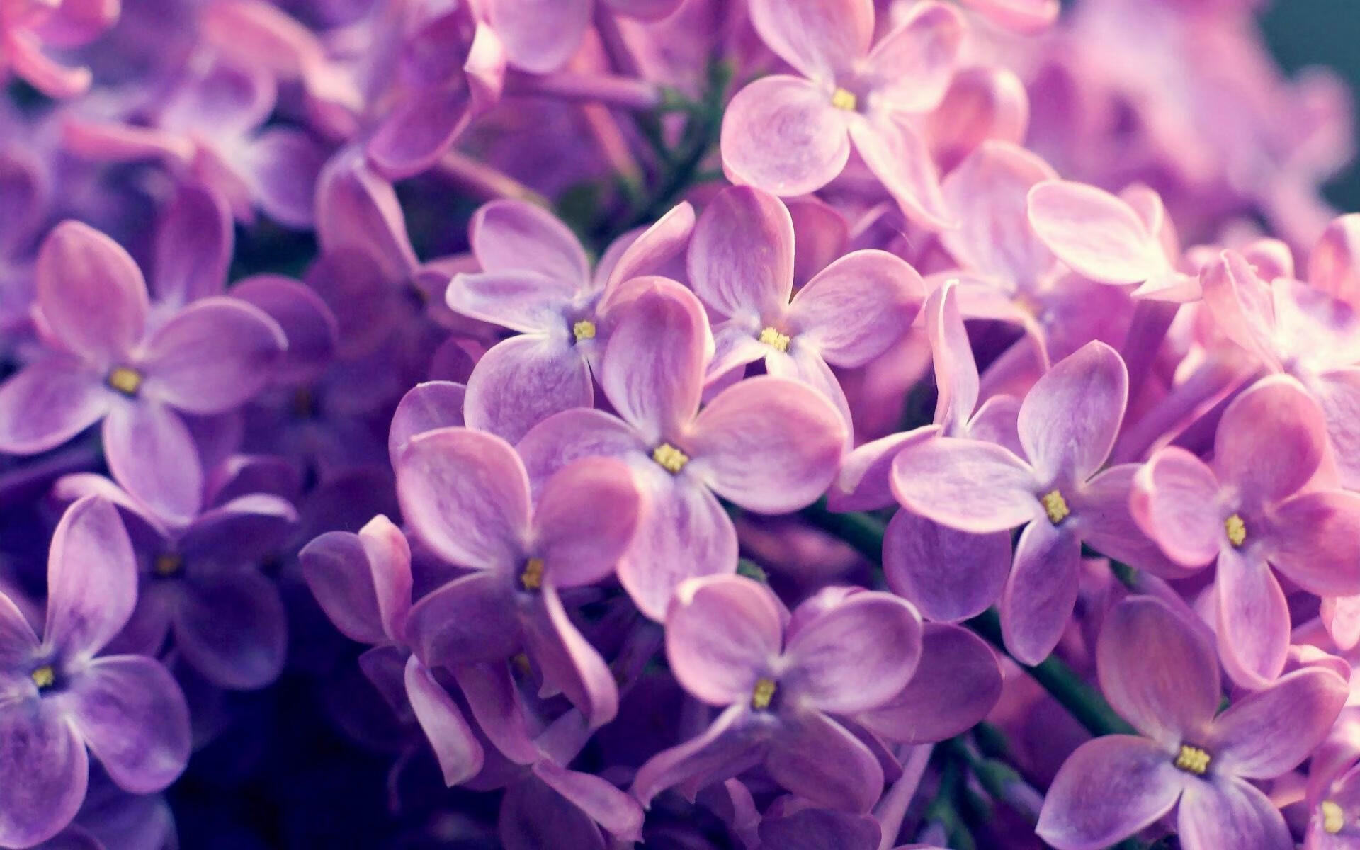 看到美加墨世界杯焦点战,灰熊火力压制吉林队这个组合,确实需要一些独特的视角来解读。这很可能是一场充满隐喻的、横跨篮球与足球、职业与地域文化的特殊对话