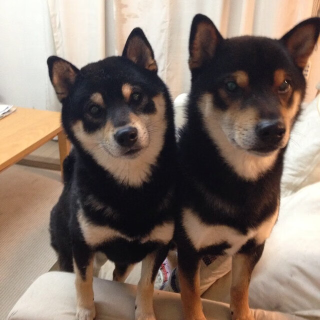 奇袭时刻,篮球与足球的跨界绝杀盛宴