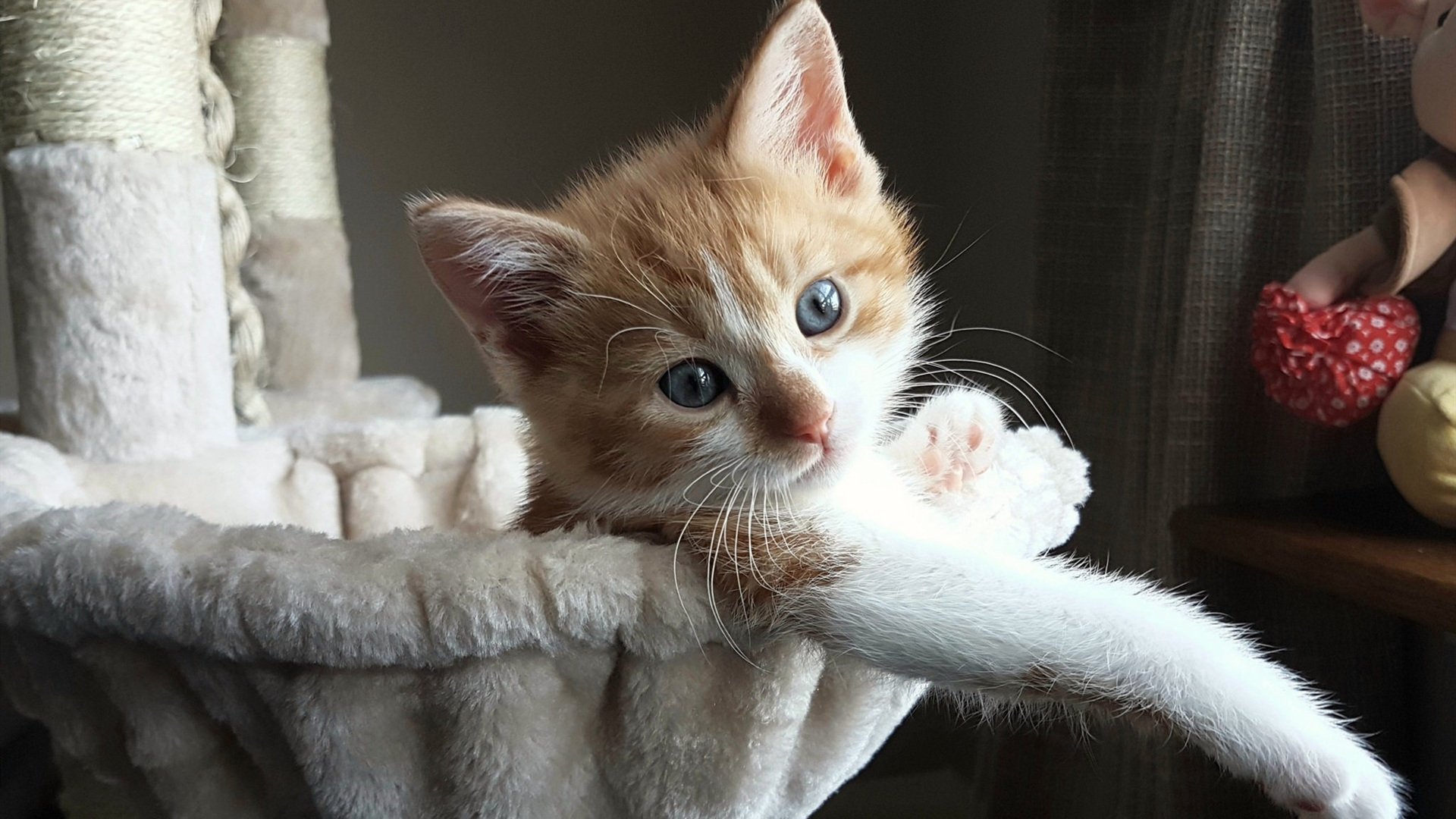 铁血与闪电,当意甲焦土战遇上利物浦的克罗地亚风暴