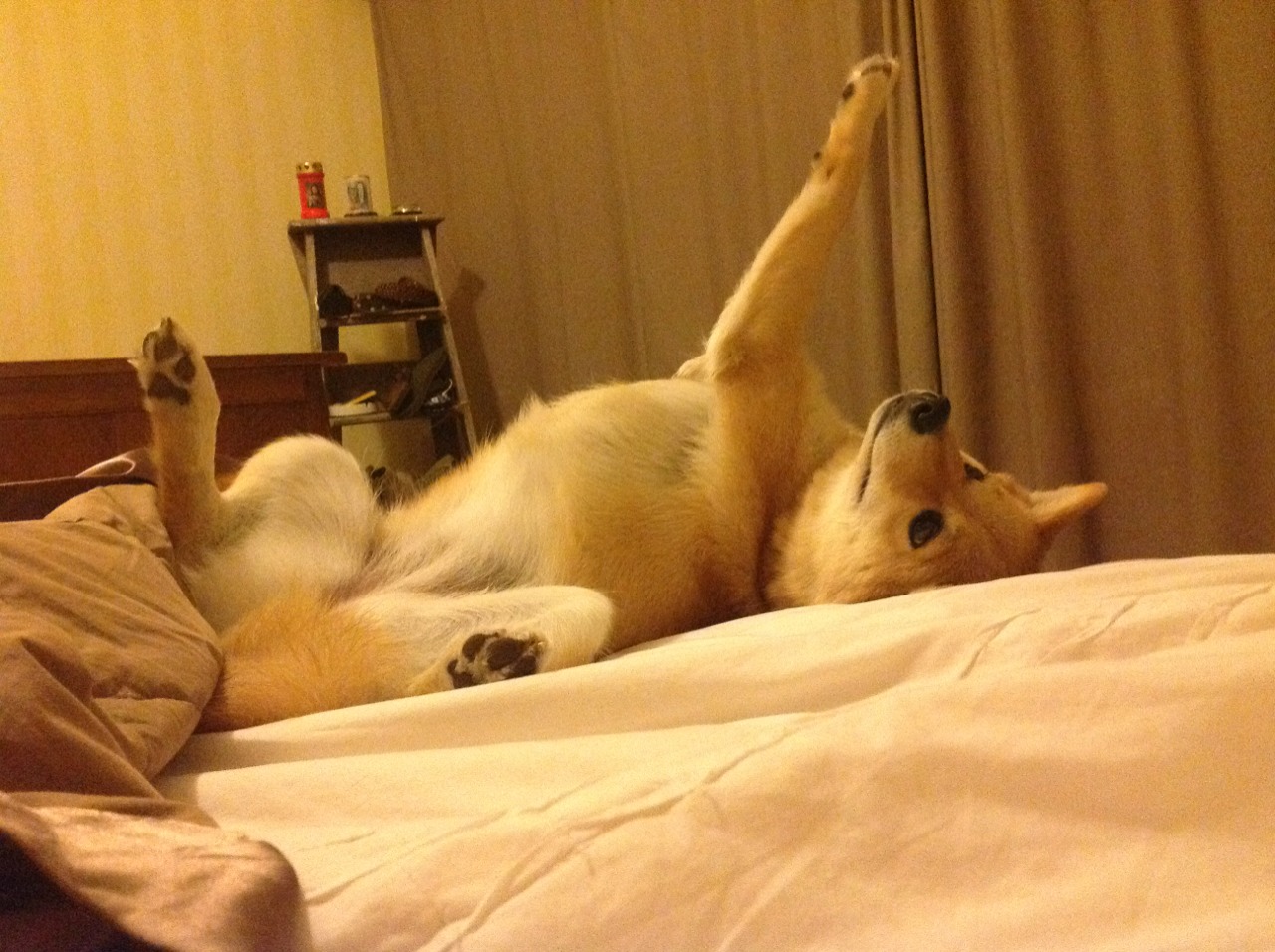 绿茵场上的双重救赎，当个体觉醒融入团队征服