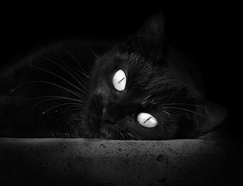 欧冠半决赛之夜与克莱末节，唯一性的体育史诗