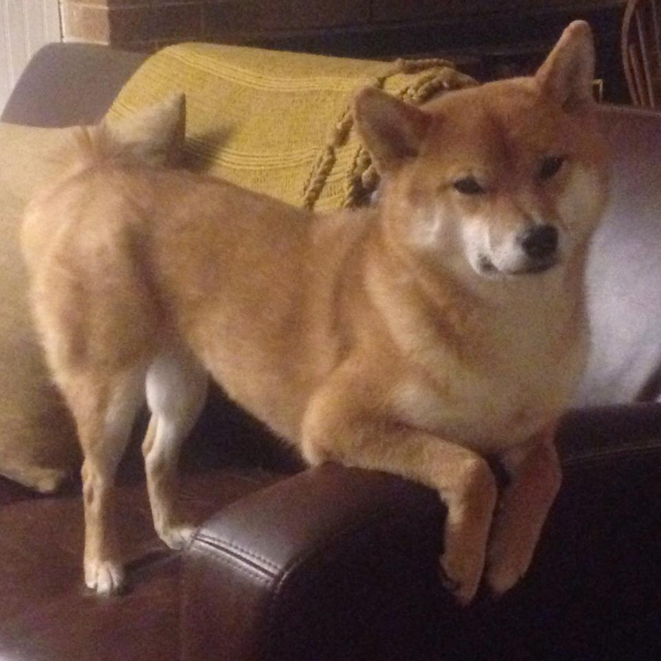 东方光刃刺破北欧铁幕，三笘薰如何将个人存在感化为亚特兰大的压制洪流