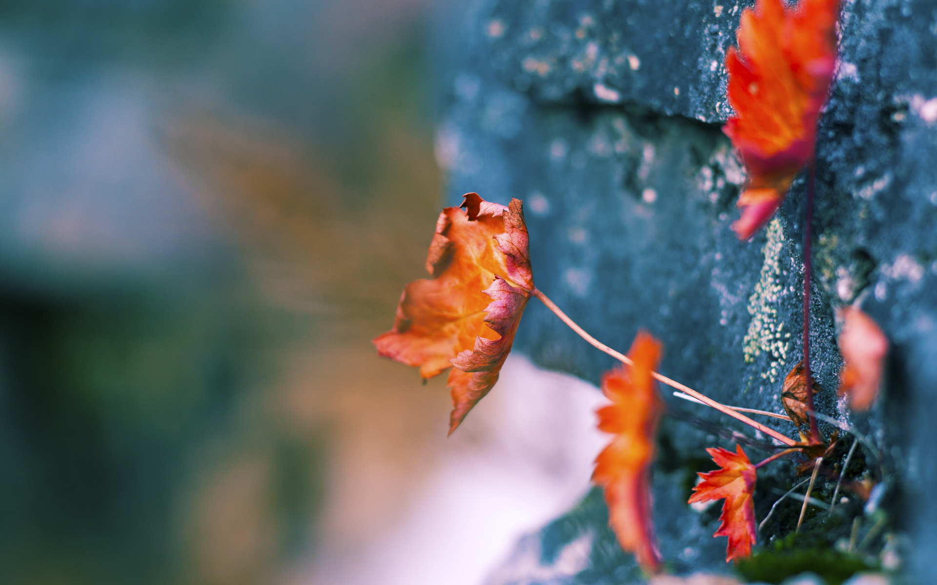 爱游戏体育-冰与火之歌，步行者冻结热火神话，福克斯跨越万里里程碑