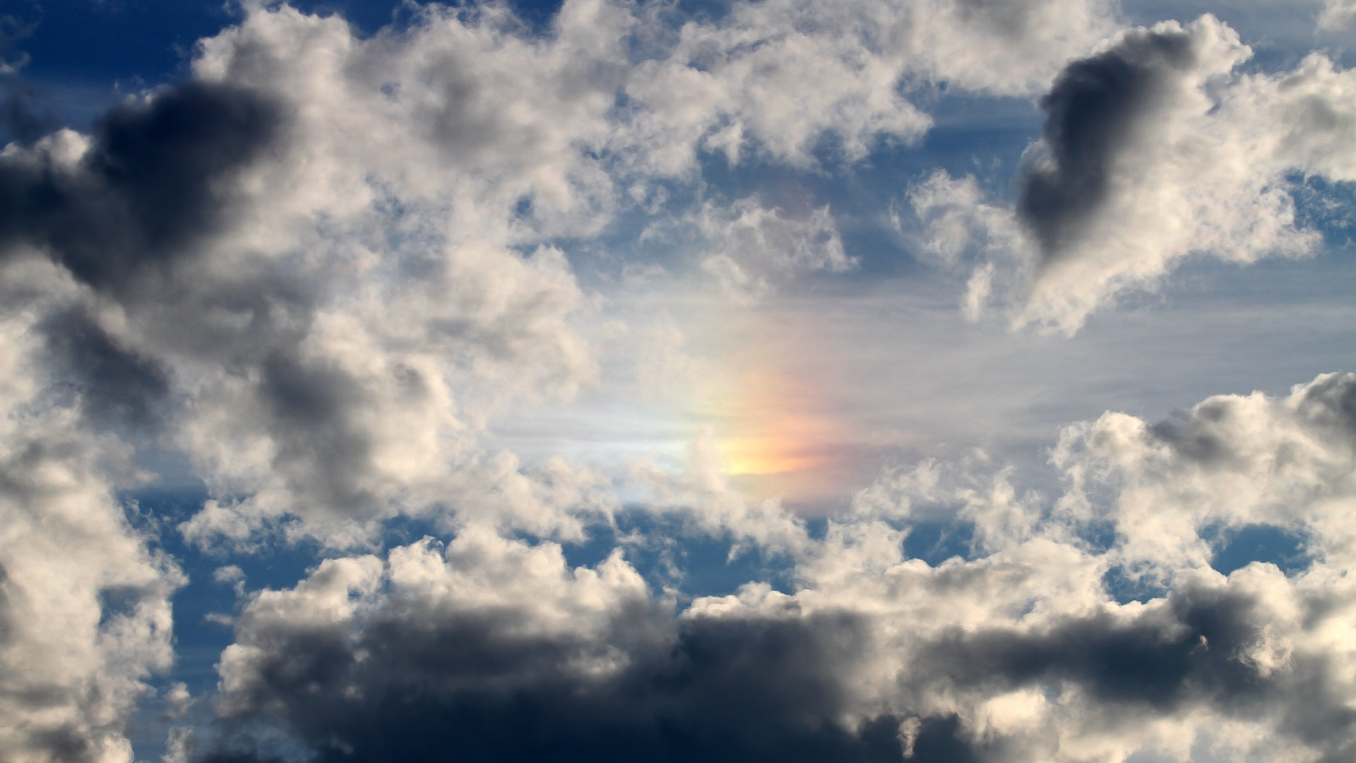 铁壁与利刃，当开拓者的窒息防守，铸就了小贾伦的总决赛封神之路