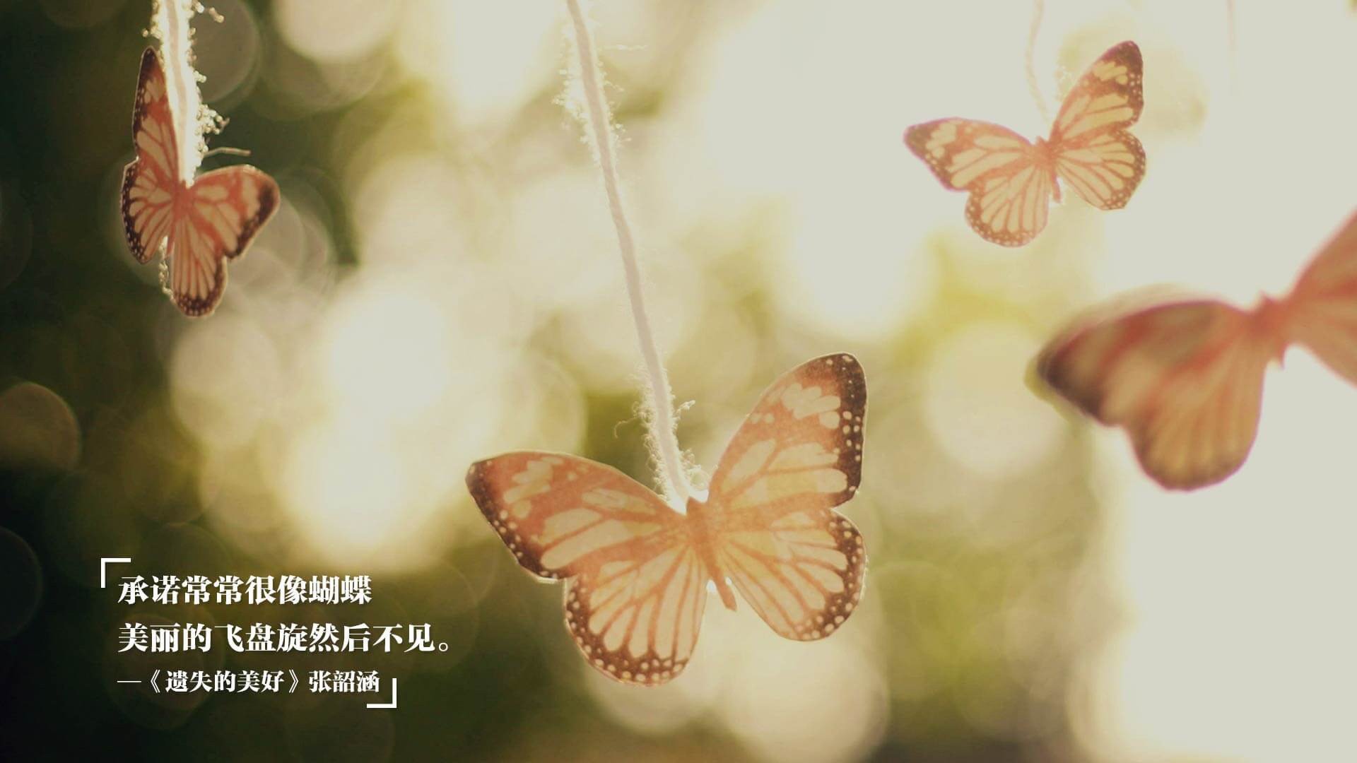 黄色奇迹，当足球的颠覆哲学在F1赛道轰鸣