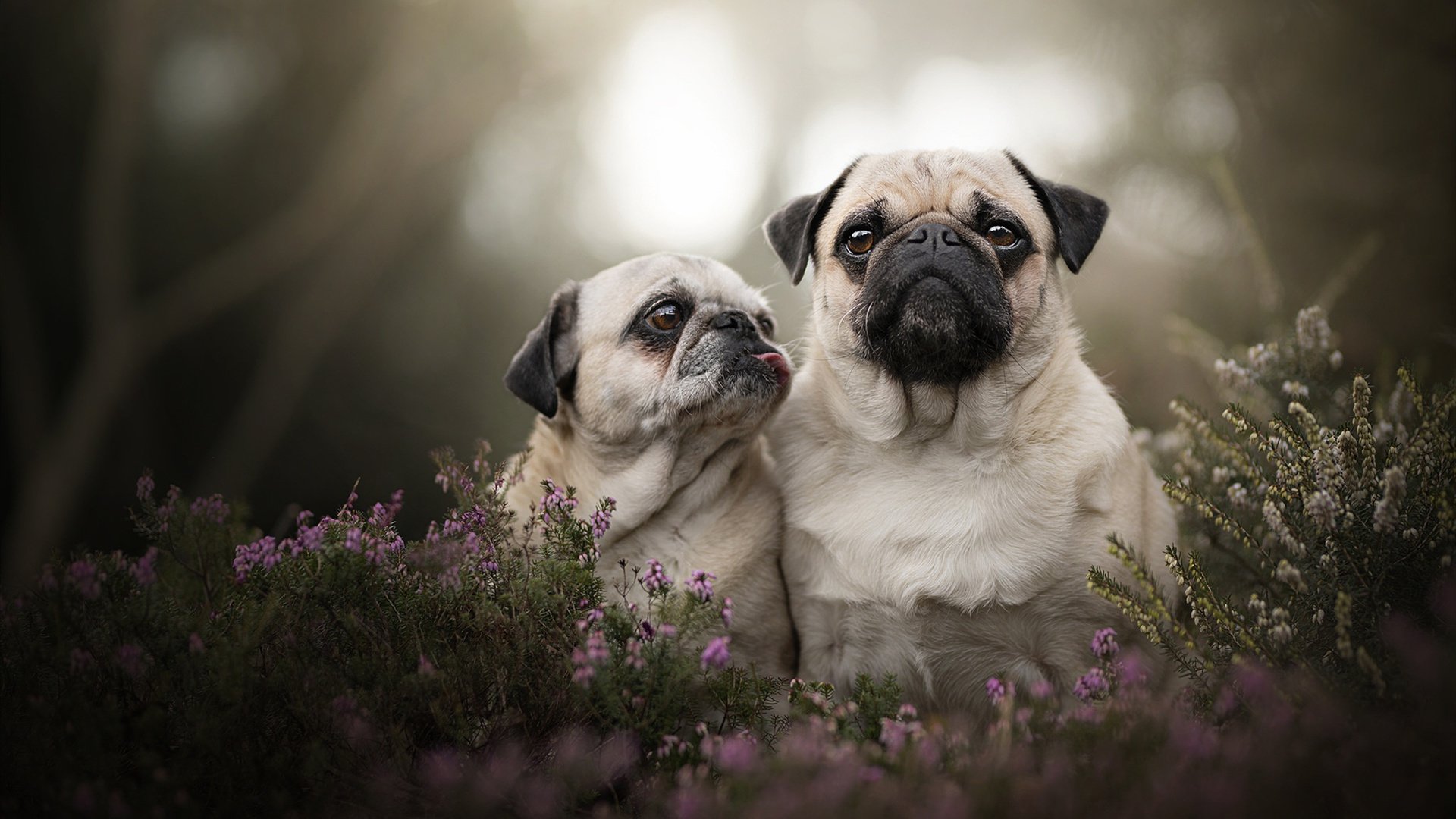 唯一征服，门迪，毕尔巴鄂唯一的关键先生