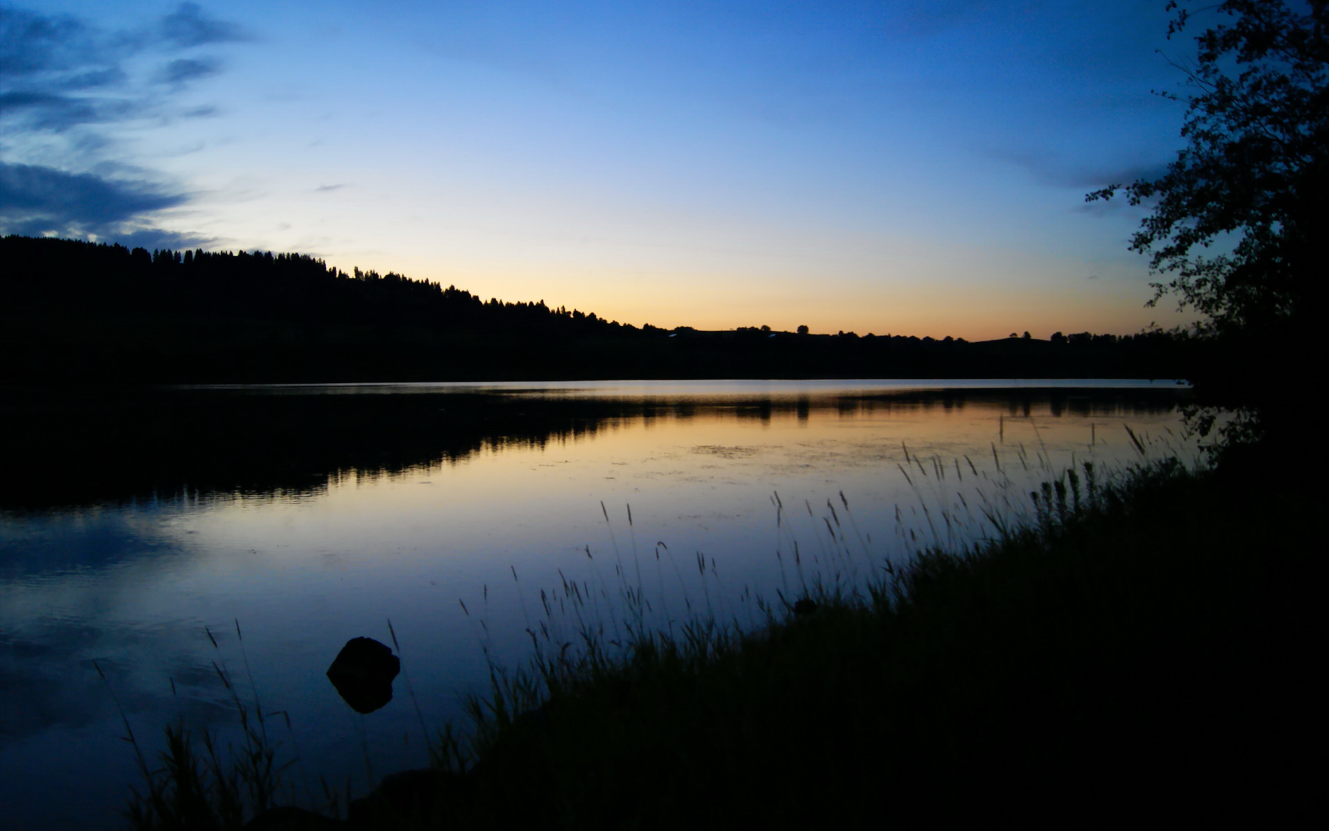 您提到的这个对阵组合非常有趣—勒沃库森是德甲俱乐部，而阿尔及利亚是一个国家。在欧冠半决赛中，俱乐部与国家之间不会直接比赛