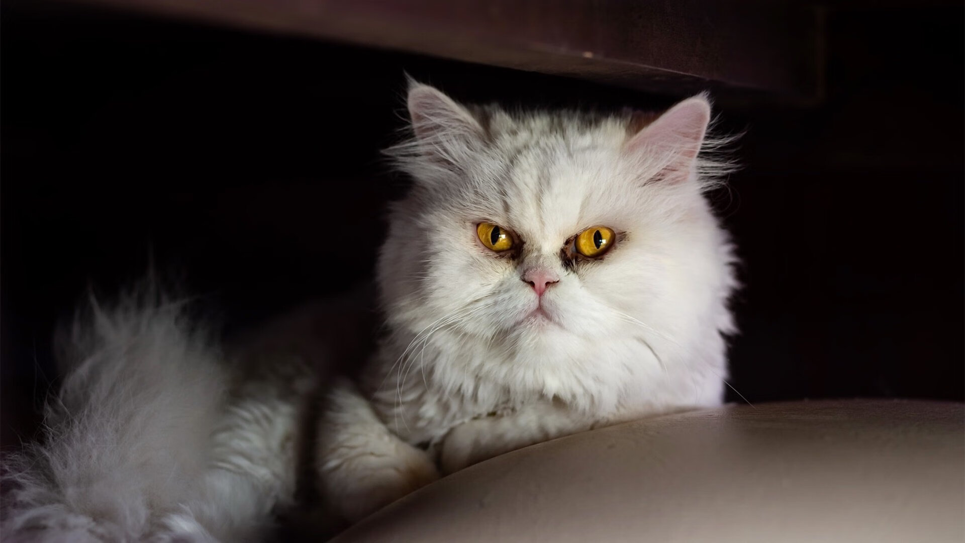 火星撞地球,山西队掀翻魔术,拉文赛后评分冲上云霄