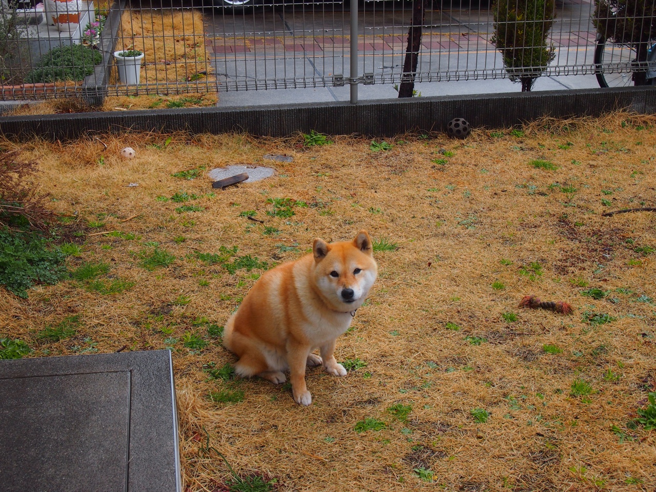 欧冠决赛激情再现篮球场,76人焦点战力克黄蜂,争冠之路再进一步